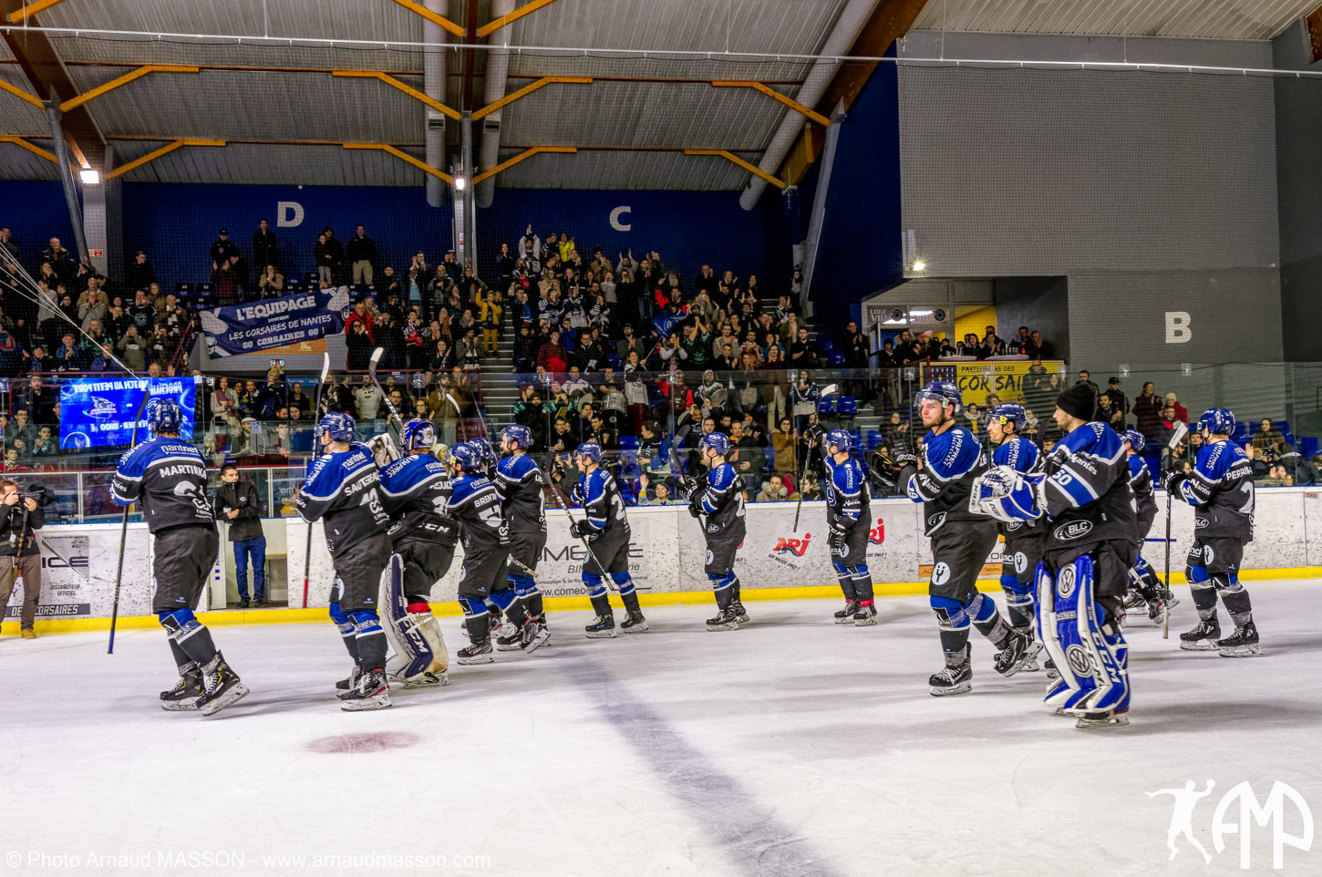 Boutique officielle des Ducs d'Angers - Équipe professionnelle de Hockey  sur glace